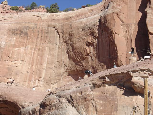 Route 66 du 2 au 22 juillet 2006 366.jpg