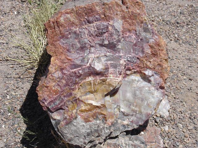 Route 66 du 2 au 22 juillet 2006 390.jpg