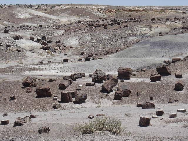 Route 66 du 2 au 22 juillet 2006 391.jpg