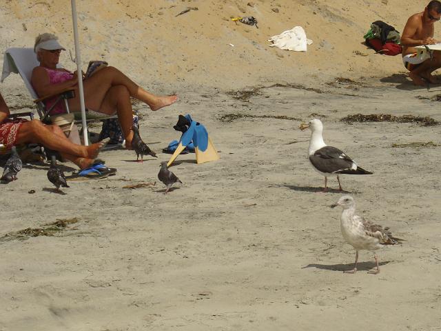 Route 66 du 2 au 22 juillet 2006 503.jpg
