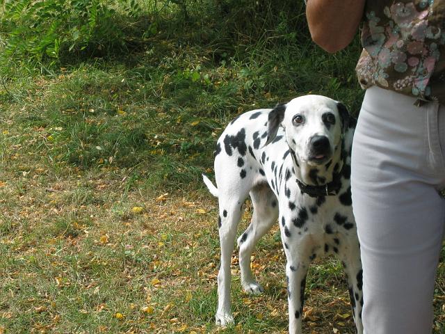 20060723_Pique_Nique (17).jpg