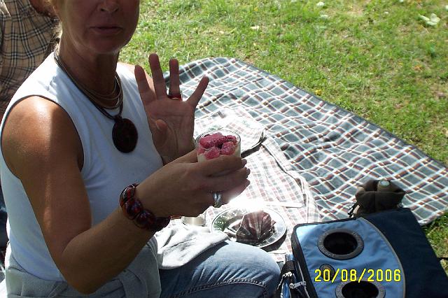 week end chez maraud et fanfan 028.jpg