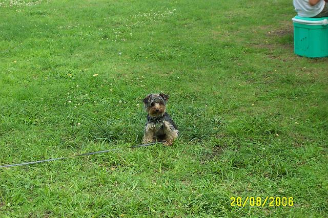 week end chez maraud et fanfan 034.jpg