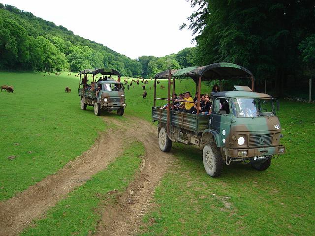 14 Jurassic Park.JPG