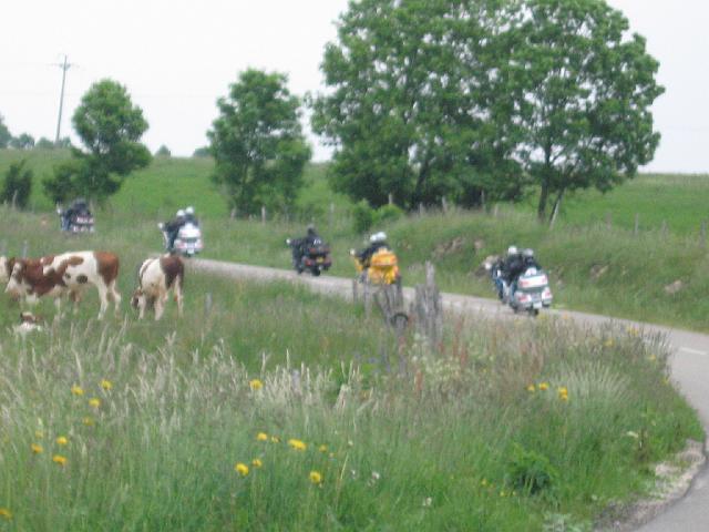 jura gold 14 15 16 juin 08  (43).JPG