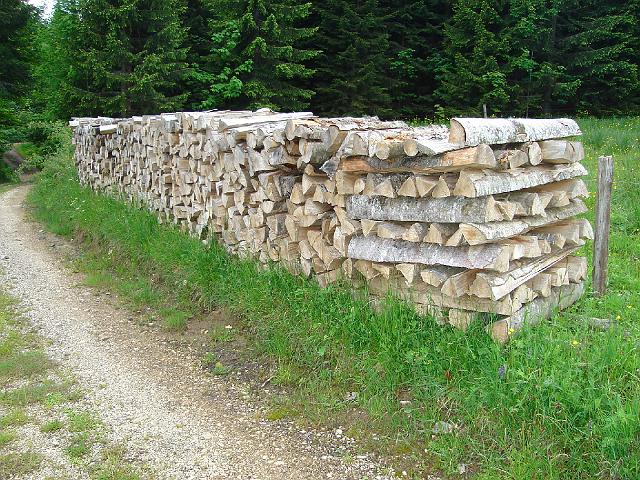 Lamoura (2008) 4.JPG