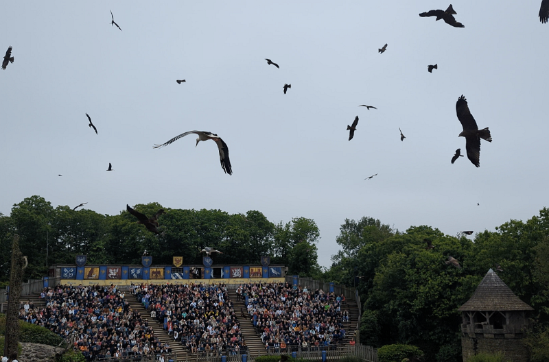 2024-06-02 1041 copie.png