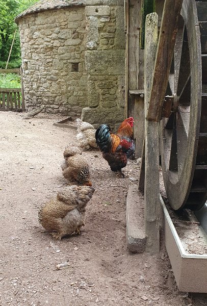 2024-06-02 1301 copie.jpg