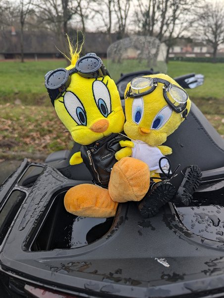 2024-12-15 00009.jpg